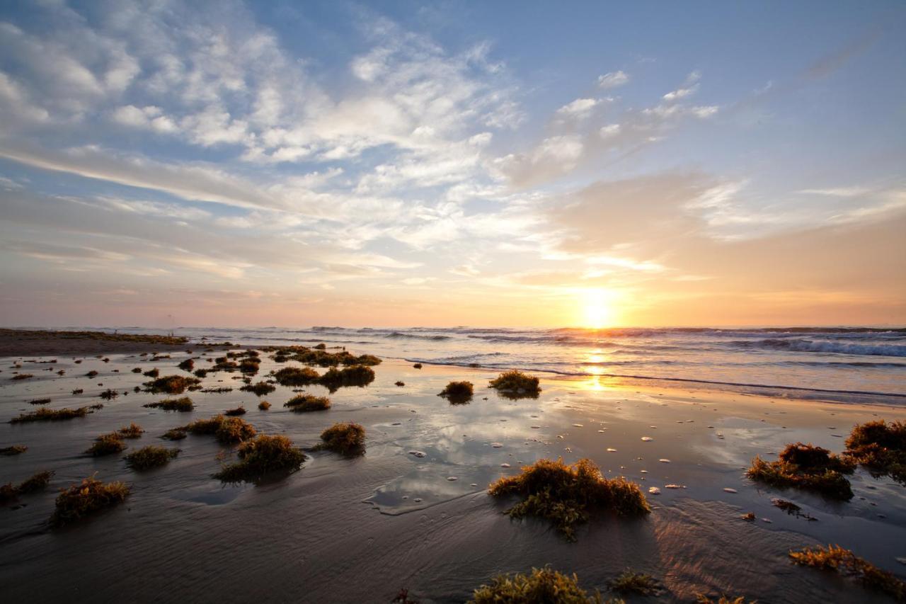 Island Serenity South Padre Island Luaran gambar