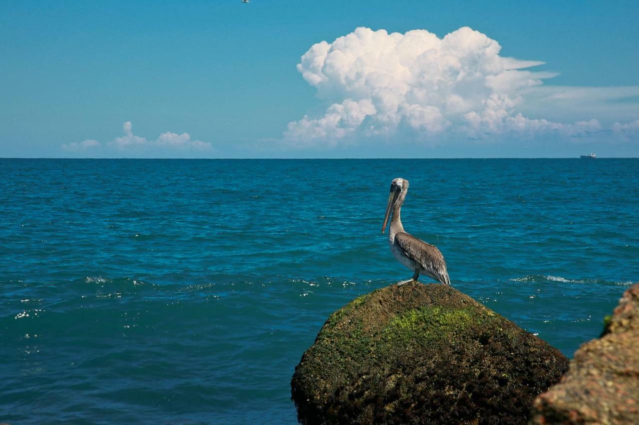 Island Serenity South Padre Island Luaran gambar